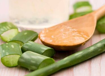 Cómo limpiar el aloe vera para usarlo en mascarillas