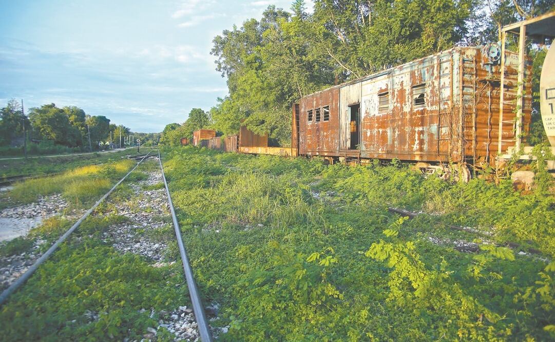 Greenpeace exige a Semarnat negar autorización para el Tramo 5 Sur del Tren Maya
