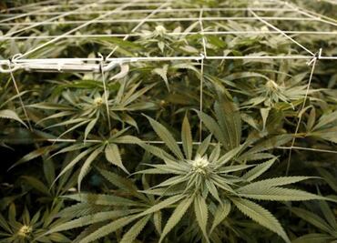 Europe resists to change the strategy