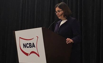 Cierre de frontera de México y EU dañaría confianza mutua: Martha Bárcena