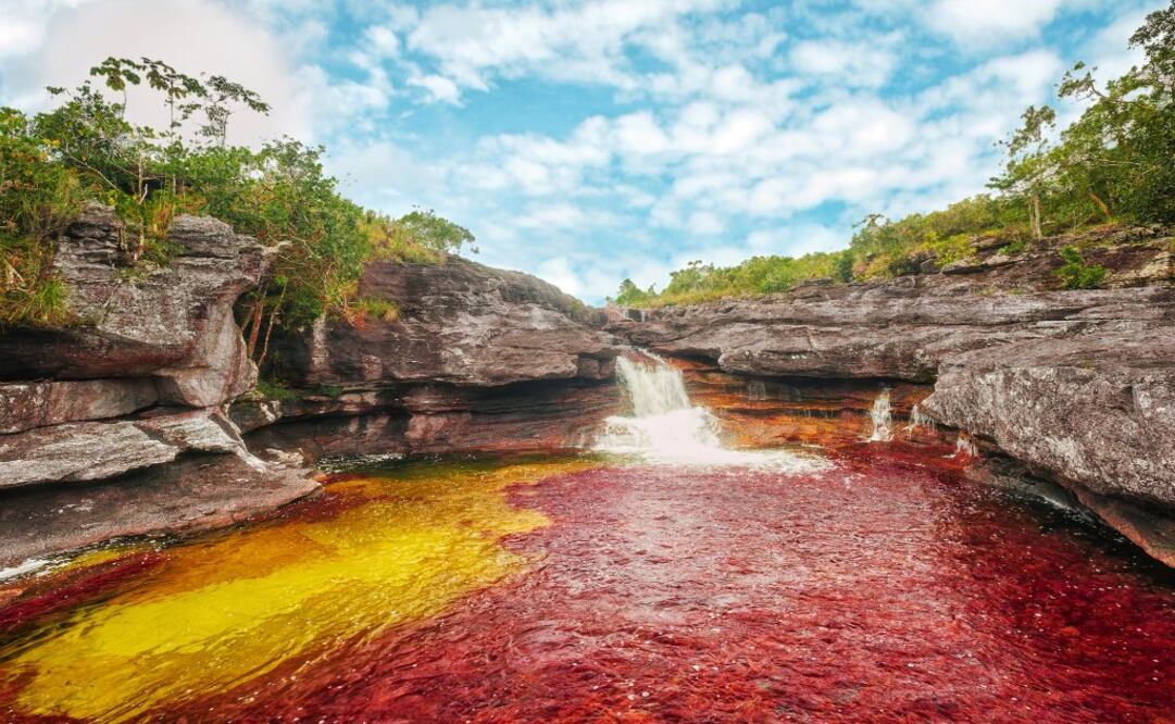 Caño Cristales. Patrimonio Biológico de la Humanidad. (Foto: Colombia Travel)