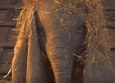 Lanzan primer tráiler de "Dumbo" de Tim Burton