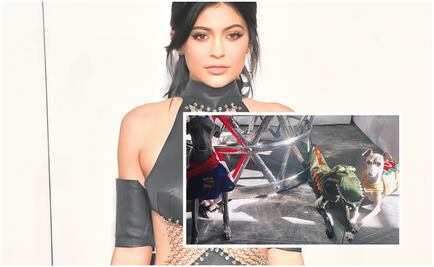 Acusan a Kylie Jenner de maltrato animal