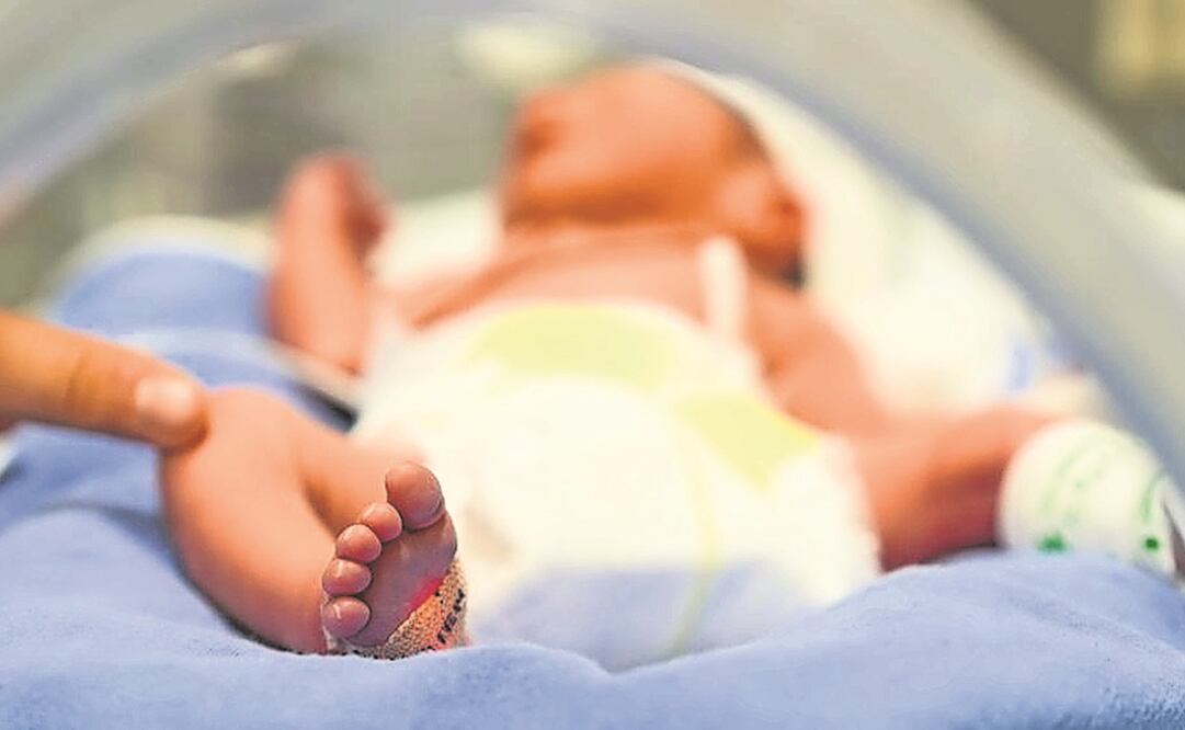 Foto: Archivo. EL UNIVERSAL