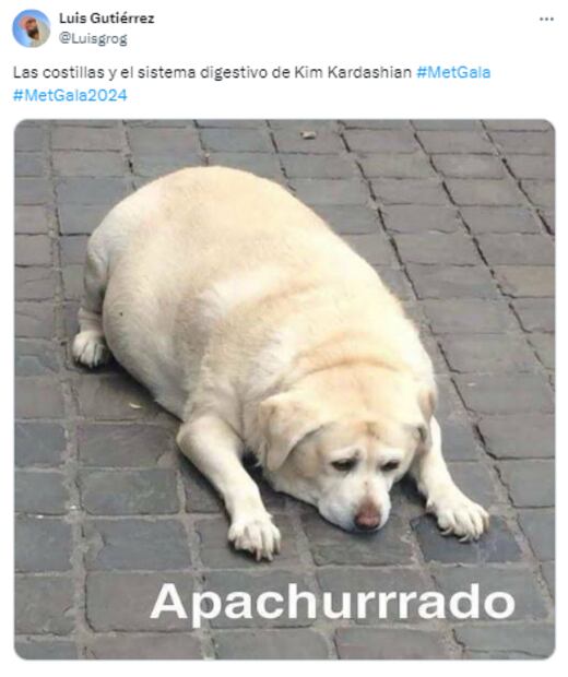 Memes Met Gala. Foto: Captura de pantalla