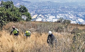 ¡De terror! Hay tres zonas en la CDMX donde se realizan búsquedas semanales de personas