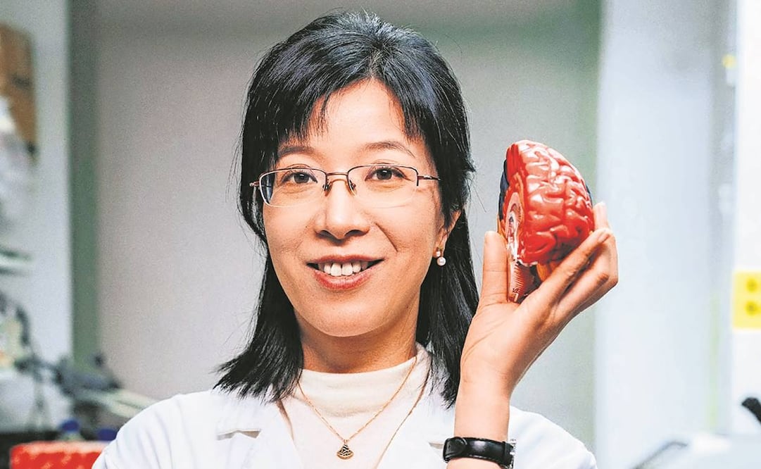 La neuro-científica Hailan Hu combina en sus estudios imágenes, electrofisiología, genética molecular y optogenética. Foto: Premio L'oreal-Unesco