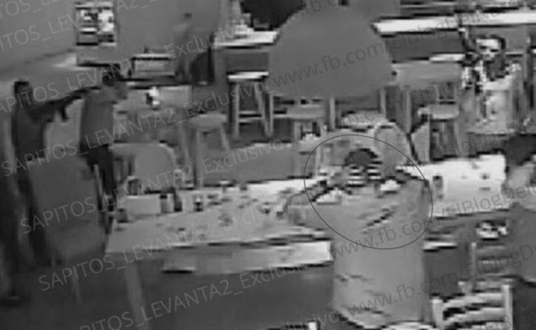 (Photos: Blog del Narco Oficial) 