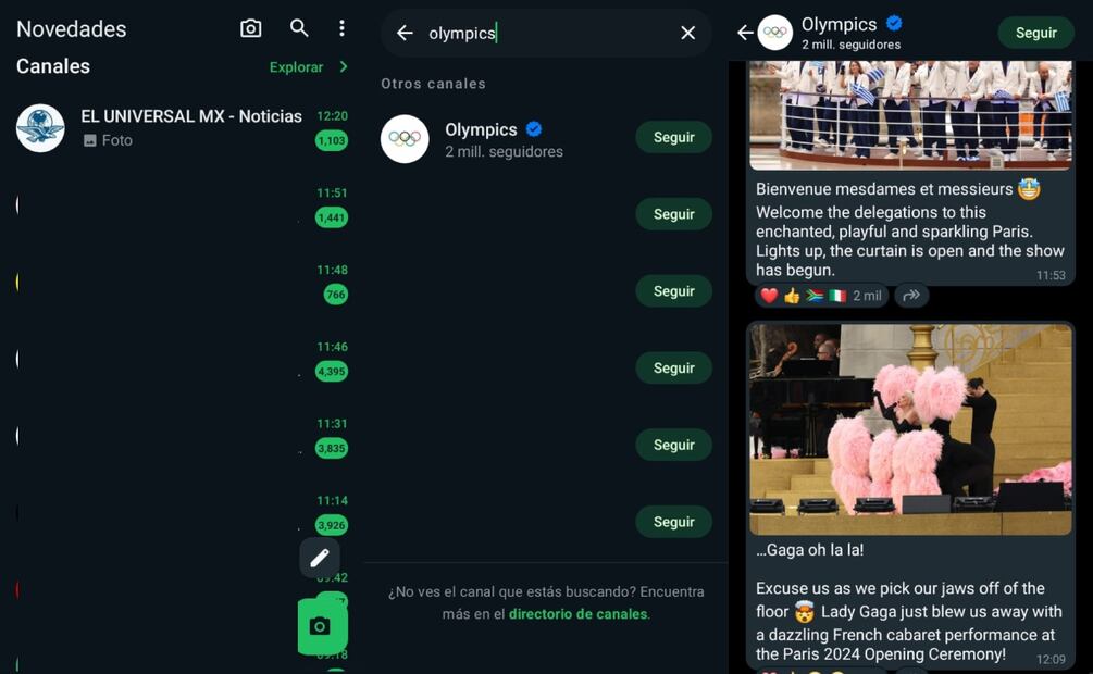 Imagen: captura de pantalla