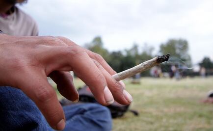 Campa: Consulta sobre marihuana, en breve