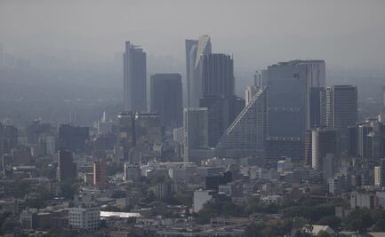 23% de todas las muertes están relacionadas con "riesgos ambientales": OMS