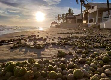 Mysterious green balls wash up on Mexican shore