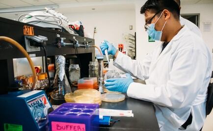 COVID-19: IPN develops specialized masks and ventilators for Mexico's fight against coronavirus