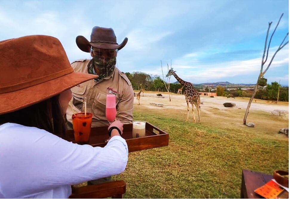 Nuevas experiencias en este parque de conservación para tener encuentros más emocionantes con los animales. Foto: captura africamsafari.com