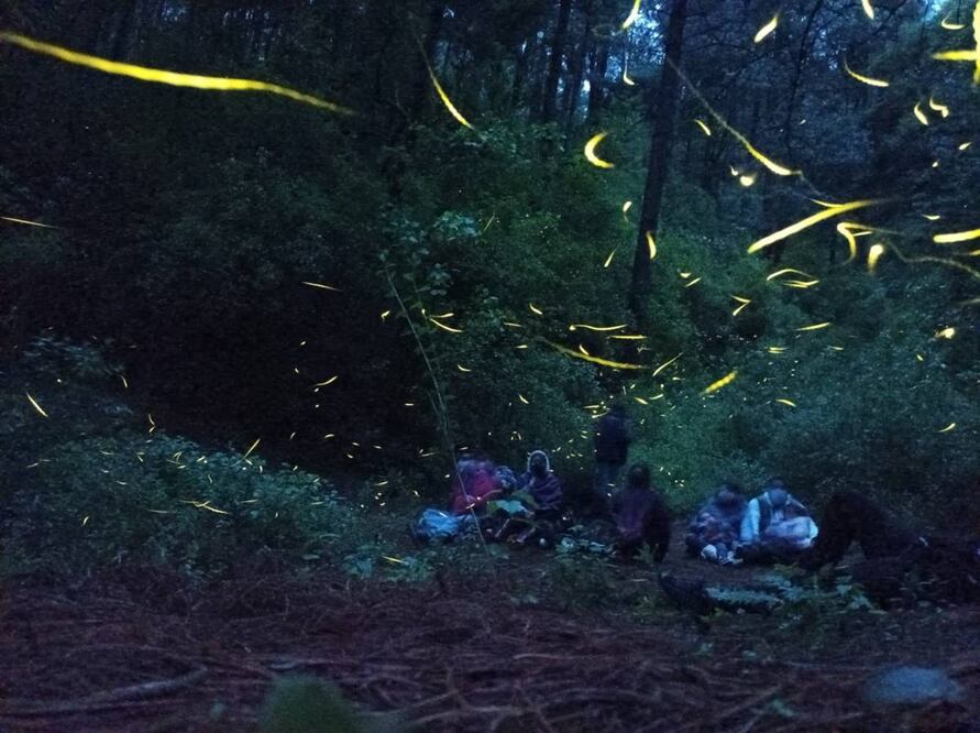 Foto: Parque Ecoturístico Maatawi