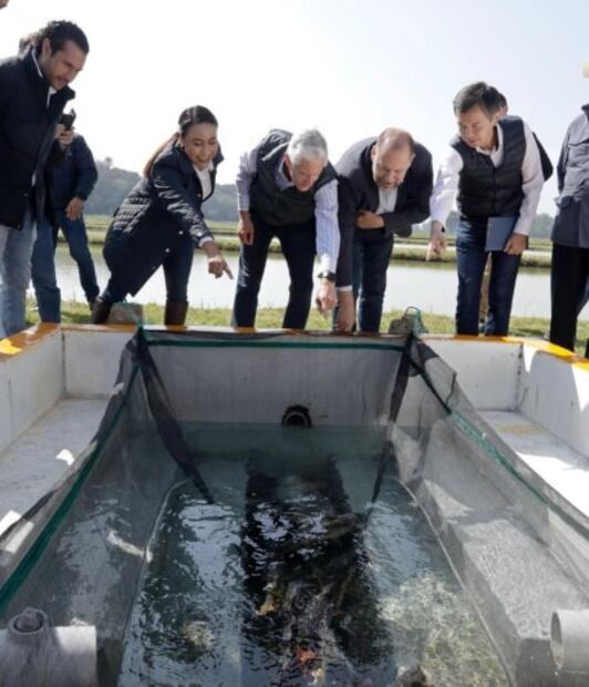 Edomex firma acuerdo con Japón para fortalecer la acuicultura