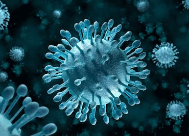 Muere mujer contagiada del SFTSV por un gato, pero ¿qué es ese virus?