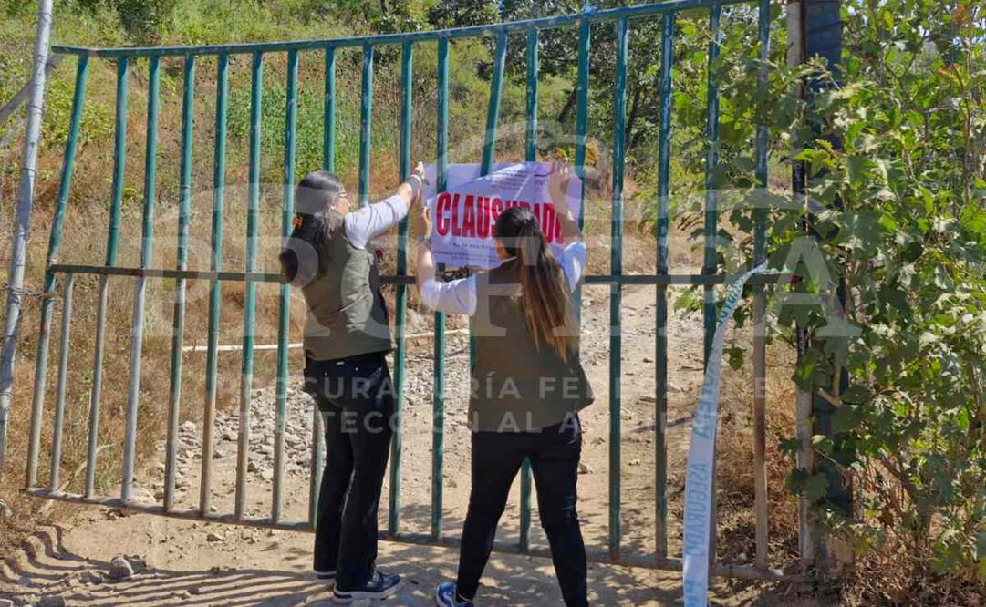 Profepa ordenó el aseguramiento precautorio de diversos ejemplares de vida silvestre de Camino Real del Tigre debido a las denuncias ciudadanas sobre mal manejo y maltrato animal. Foto: Profepa