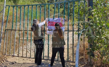 Profepa clausura parque Camino Real del Tigre en Jalisco; no acreditó origen legal de sus animales