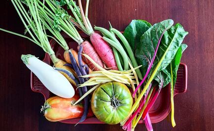 Nuevos Horizontes: el huerto que promueve hortalizas y vegetales recién cosechados