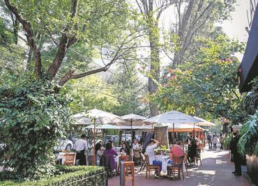 Critican que programa Ciudad al Aire Libre se quede