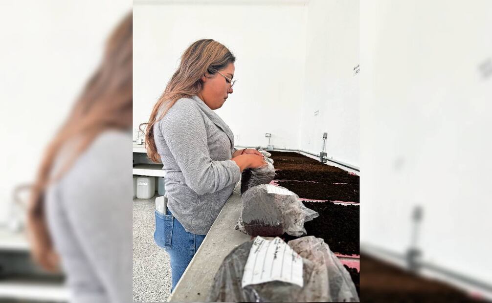 La Universidad Politécnica de Francisco I. Madero analiza cómo eficientar el uso de agua de riego. Foto: Dinorath Mota / EL UNIVERSAL