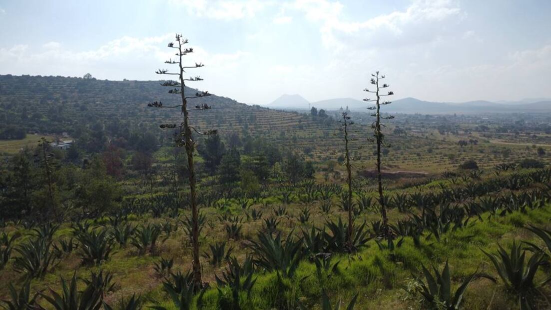 Foto: Rancho La Gaspareña