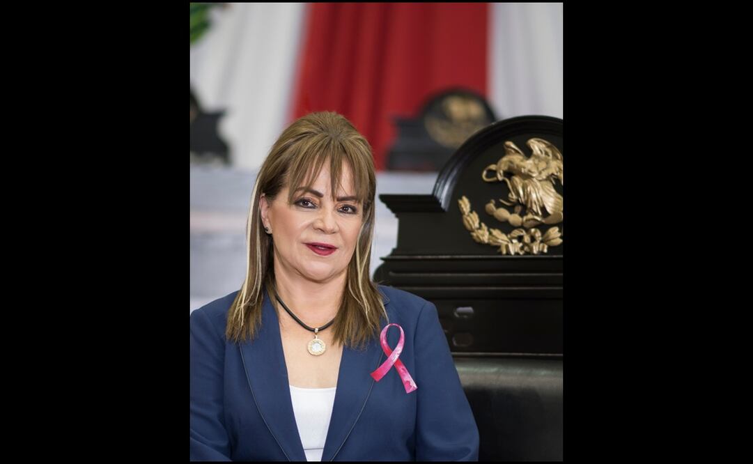 La legisladora Patricia Palacios. Foto: Especial