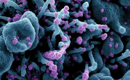 El coronavirus pone el "Reloj del Juicio Final" a unos segundos del "apocalipsis"