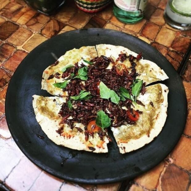 Lugares para comer bichos en CDMX