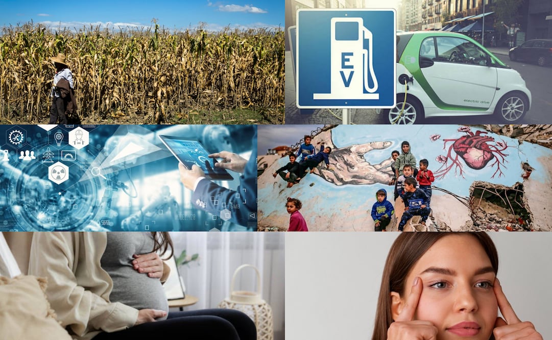 ¿Que se celebra hoy, 9 de septiembre?