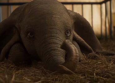 Revelan pósters de la nueva versión de "Dumbo"