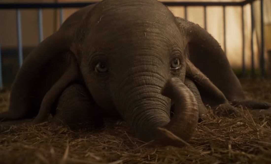 Foto: Captura YouTube