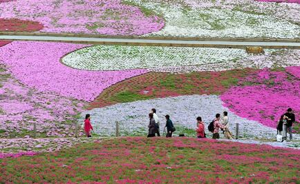 El negocio de alquilar amigos o novios en Japón