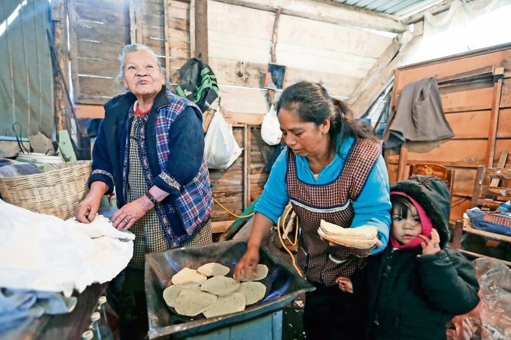 La señora Epifanía Cruz lleva más de 30 años viviendo en la parte alta de Cuajimalpa, fue de las primeras familias en instalarse. “Todo está bien, el frío sería lo único malo, pero nos rejuvenece, nos tapamos muy bien y ya”, afirma. (FOTO: LUIS CORTÉS)