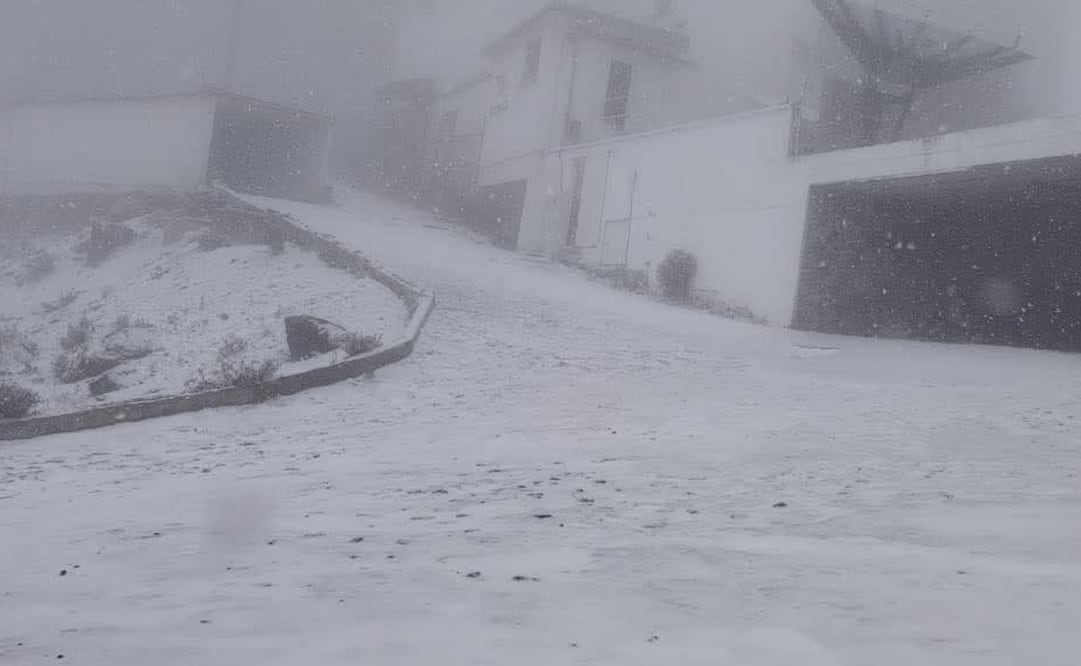 Nevada en el Cofre de Perote, Veracruz. Foto: Especial