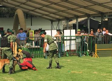 Sedena y Fórmula 1 comparten pista en el F1 Fanzone de Campo Marte