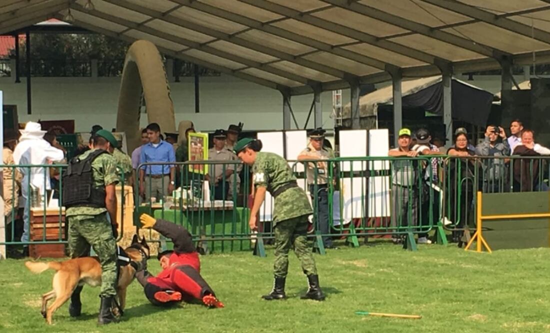 La exposición militar contará con una exhibición de vehículos militares, aeronaves, embarcaciones, material y equipo, además de una pista de adiestramiento canino. Foto: Especial