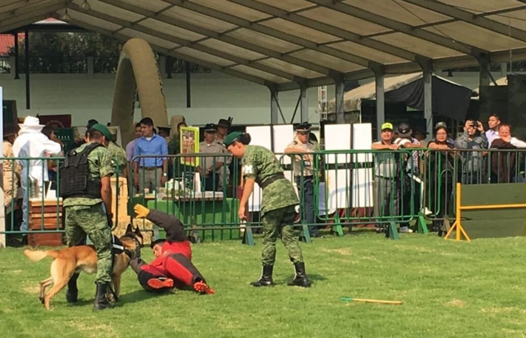 La exposición militar contará con una exhibición de vehículos militares, aeronaves, embarcaciones, material y equipo, además de una pista de adiestramiento canino. Foto: Especial