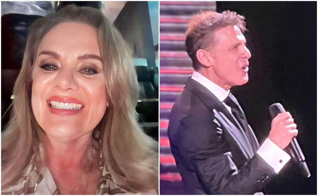 Erika Buenfil se tomó una selfie durante el concierto de Luis Miguel, a quien le tomó esta foto.