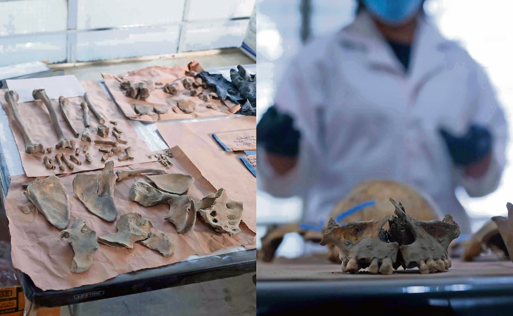 También se descubrieron 7 entierros, 4 de ellos con restos de infantes. Hay
partes de un cráneo, dientes y huesos de brazos y dedos. Fotos: Diego Simón / EL UNIVERSAL