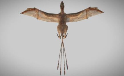 Descubren fósil de dinosaurio con alas de murciélago