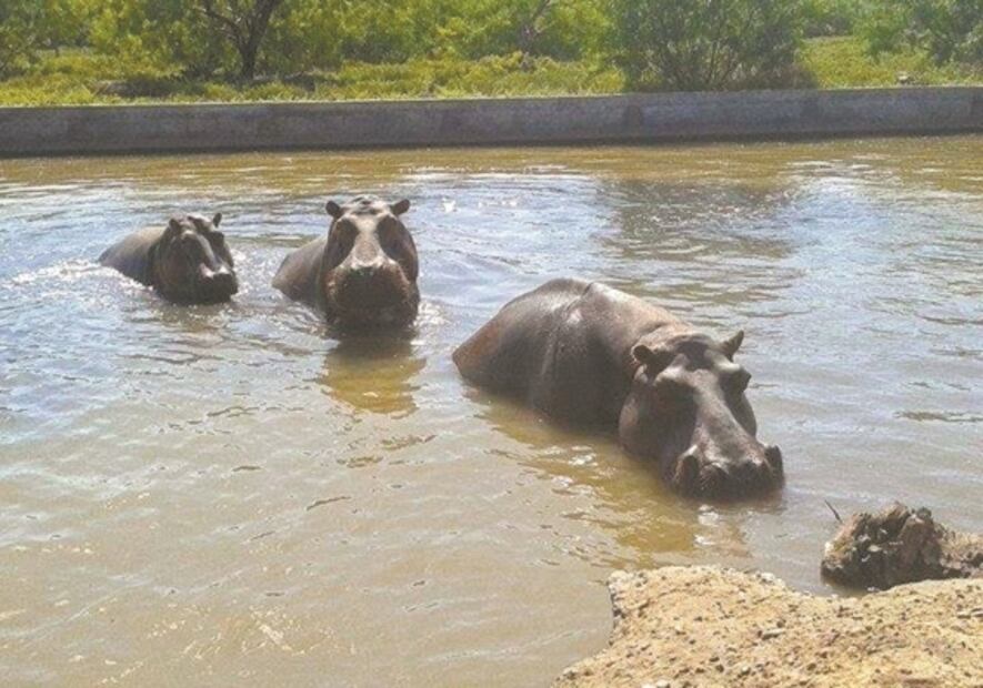 Zoo de animales incautados 