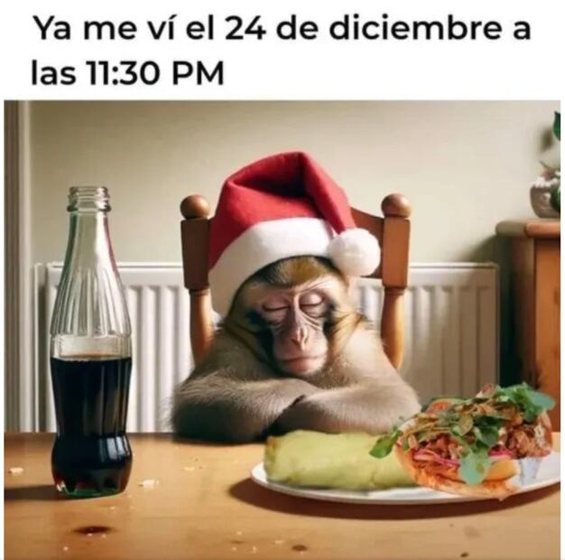 Estos son los mejores memes para celebrar la cena navideña 2024. Foto: Captura de pantalla