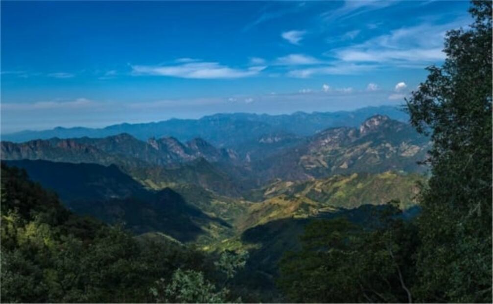 Imagen: Archivo El Universal