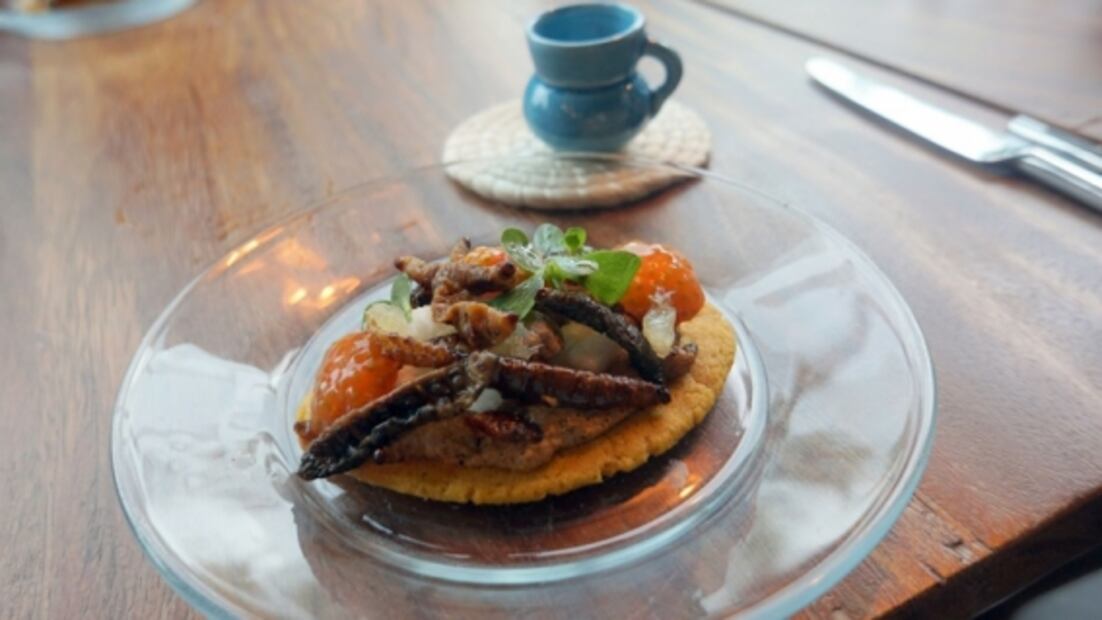 Presentan menú especial con bichos y mezcales