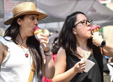 Estos son los productos de Holanda y otras marcas de helados que Profeco sacará del mercado