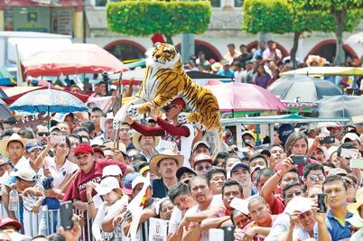 La percepción ganadora y las encuestas falsas