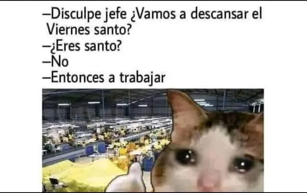 Captura vía Twitter.