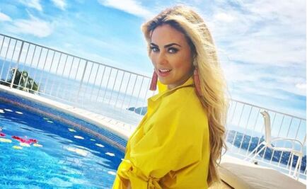 Aracely Arámbula impacta de nuevo con cuerpazo en bikini